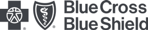 Blue Cross Blue Shield