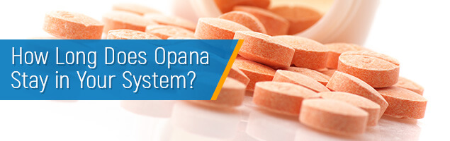 How Long Does Opana Stay in Your System?