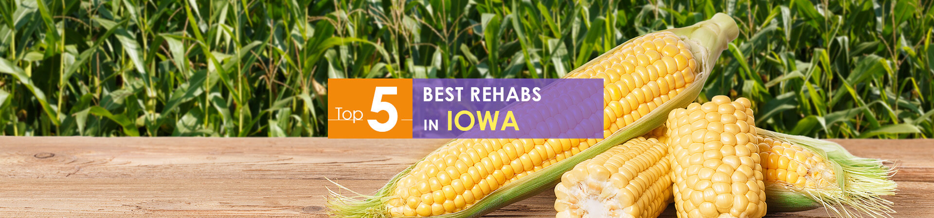 corncobs and top 5 rehabs in Iowa caption