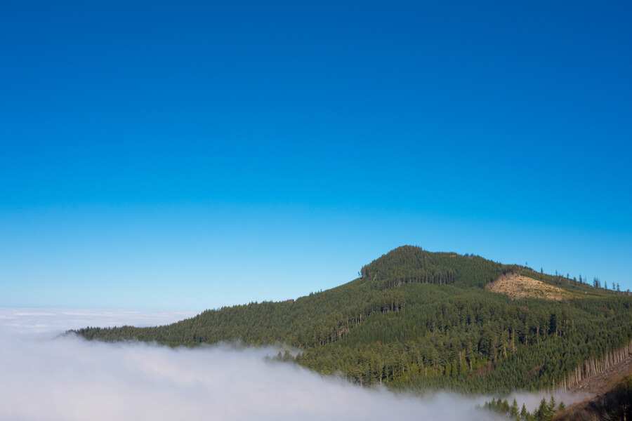 Coburg Hills of Oregon, USA