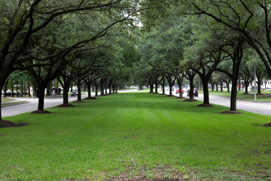 Kingwood, Tx