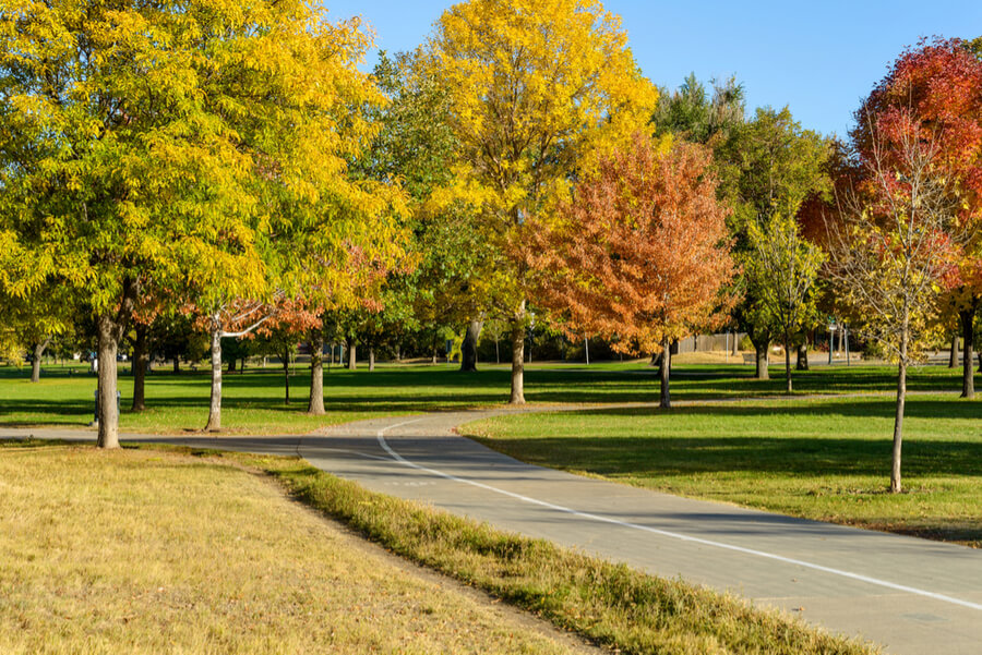 Lakewood, Colorado, USA