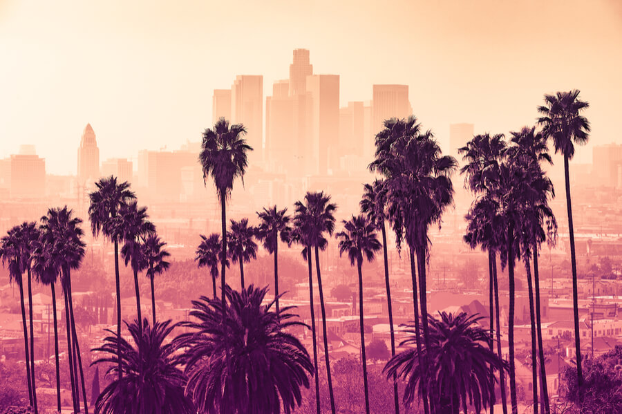 Los Angeles skyline with palm trees