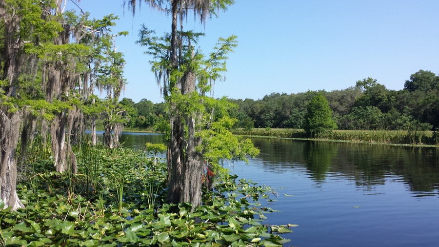 Ocklawaha River, Florida