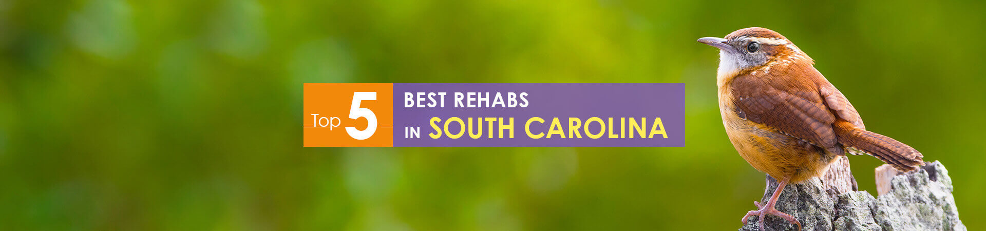 Best rehabs in South Carolina