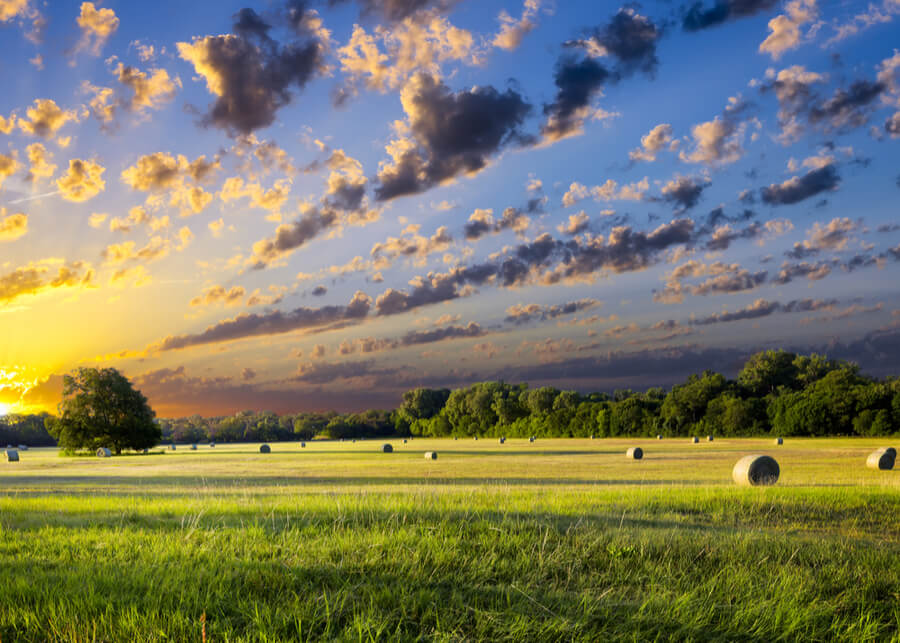 Tranquil Texas, USA