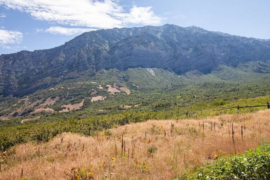 American Fork Canyon