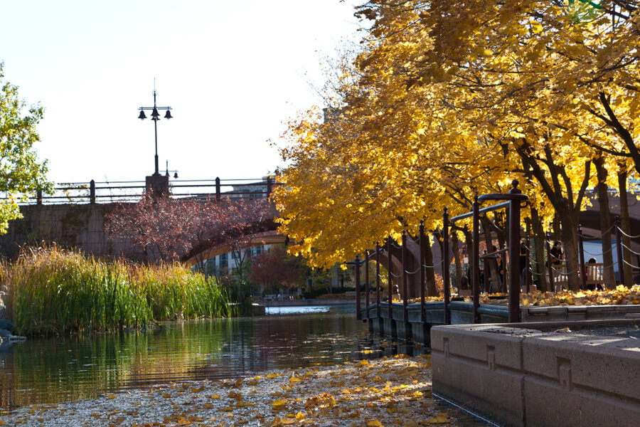Autumn colors in the city park