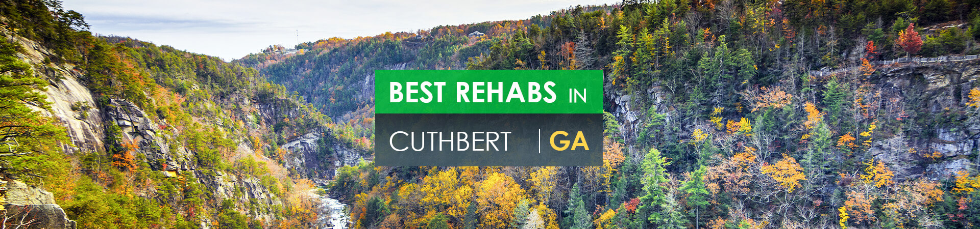 Best rehabs in Cuthbert, GA