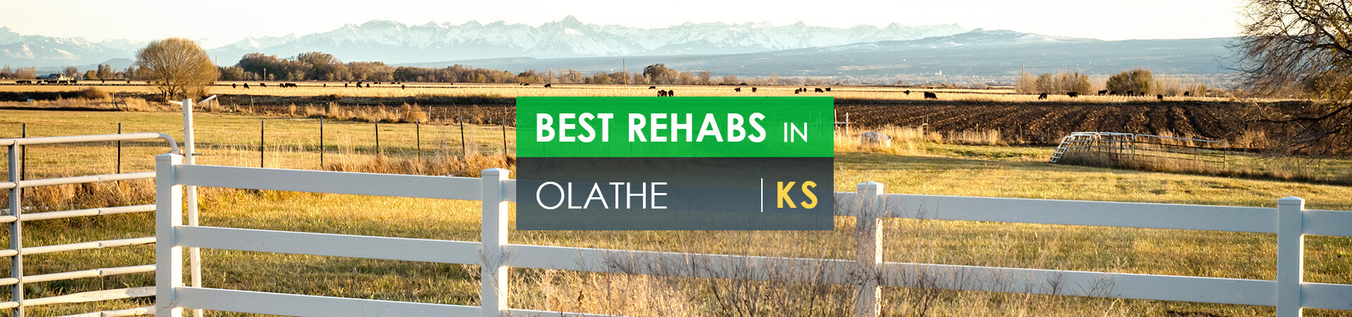 Best rehabs in Olathe, KS