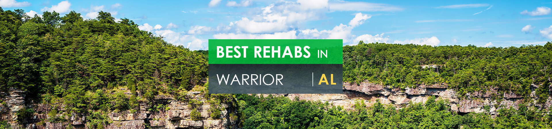 Best rehabs in Warrior, AL