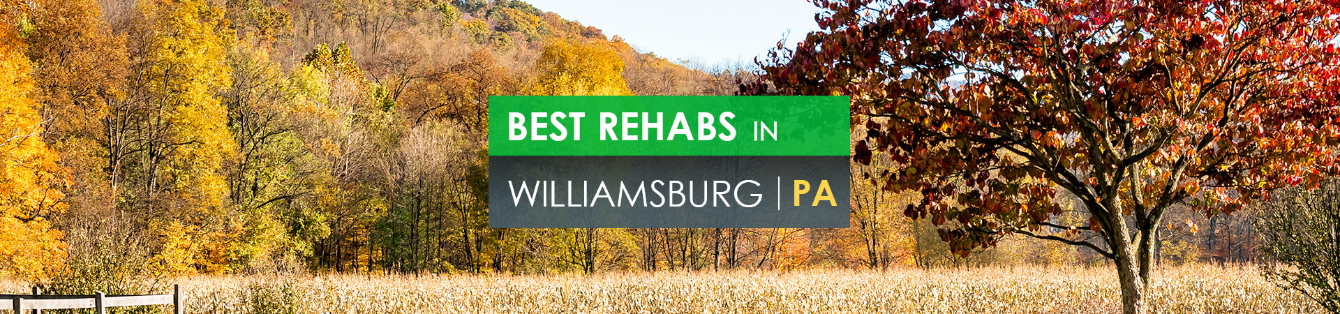 Best rehabs in Williamsburg, PA