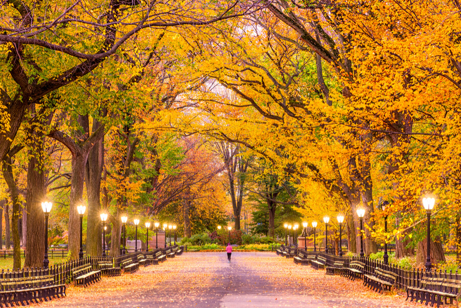 Central Park at The Mall