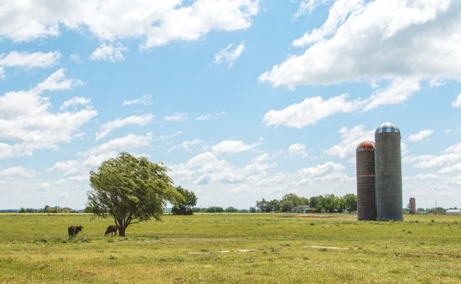 Classic Oklahoma landscape