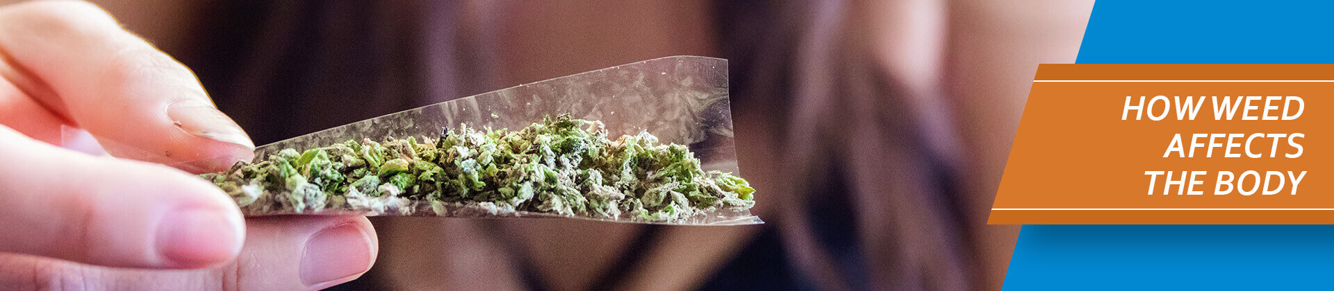 how weed affects the body systems