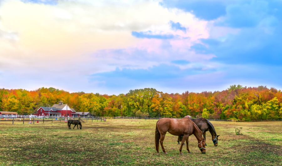 Maryland farm in Autumn