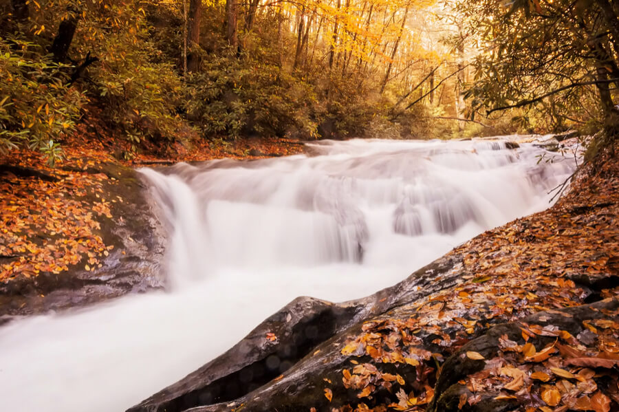 Moccasin Creek, in the Chattahoochee