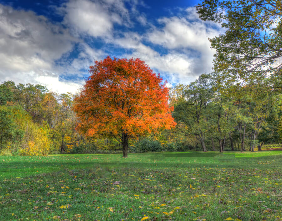 Mounds State Park in Anderson Indiana