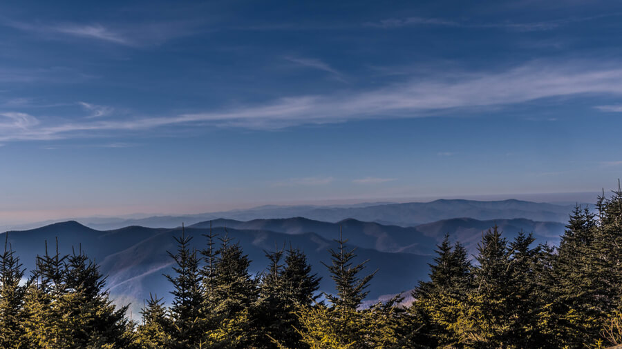 Mount Mitchell State Park, North Carolina