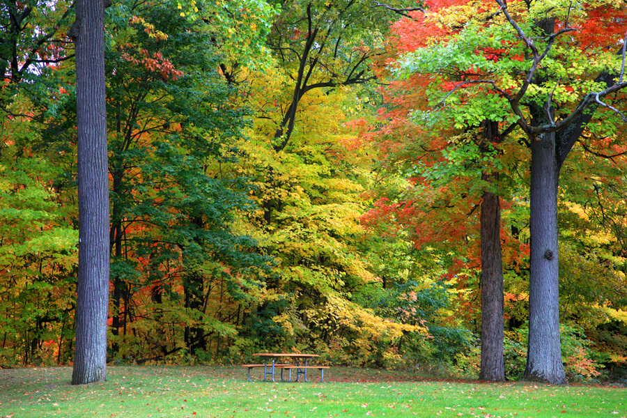 Novi Michigan