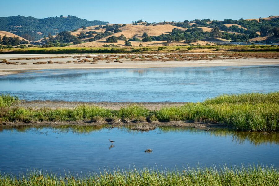 Petaluma, California