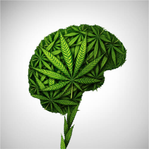 Marijuana's Effect On The Brain: Harm To Brain Cells