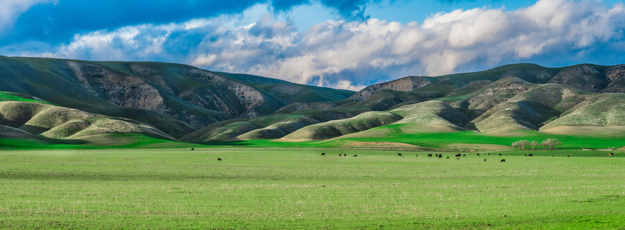 valley in CA