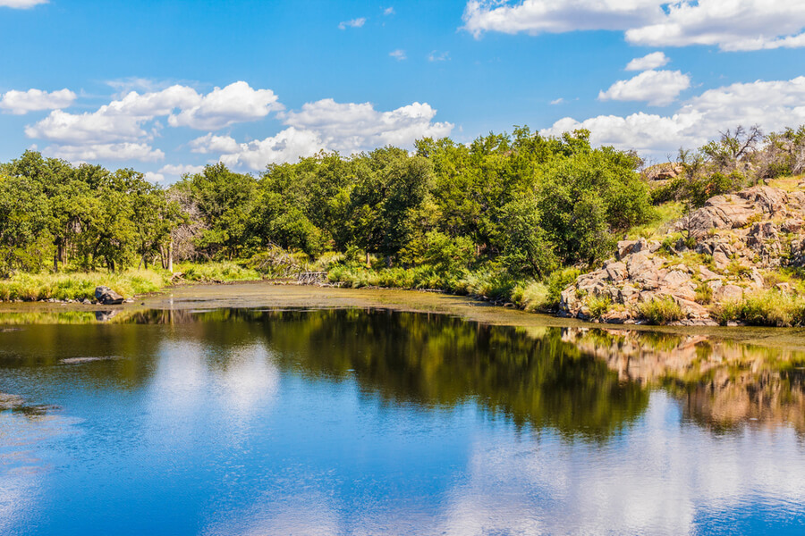 A still pond with trees