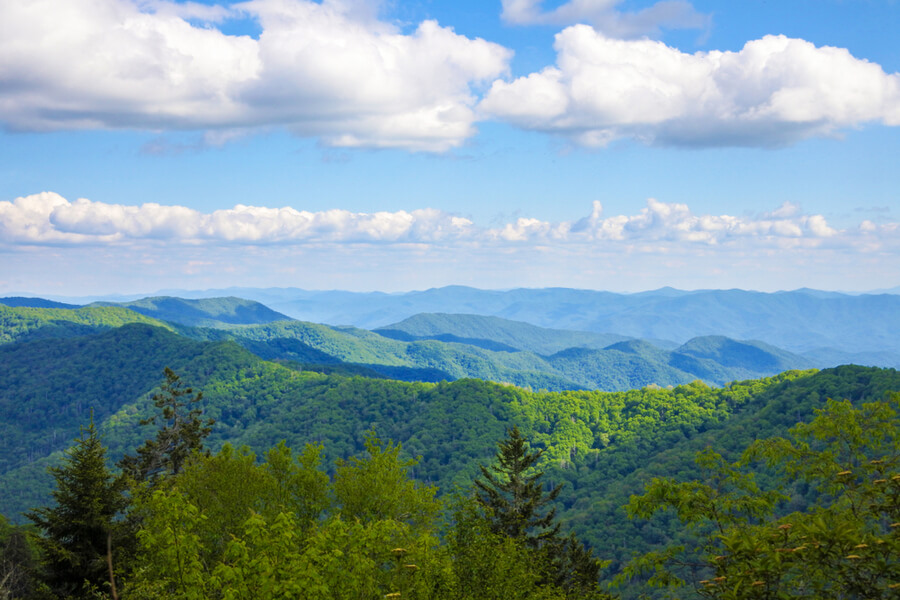 Appalachian trail in Tennessee