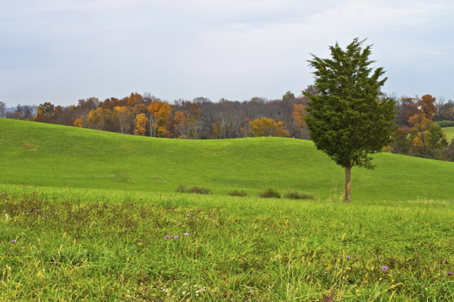 Autumn landscape in North West New Jersey
