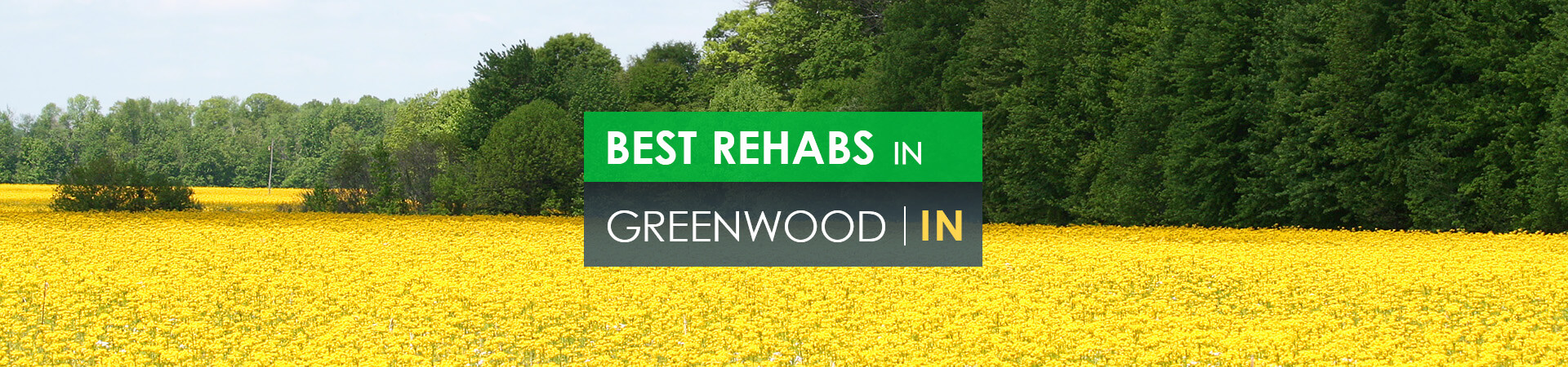 Best rehabs in Greenwood, IN