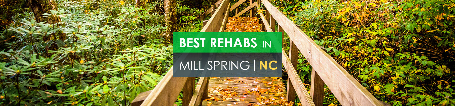 Best rehabs in Mill Spring, NC