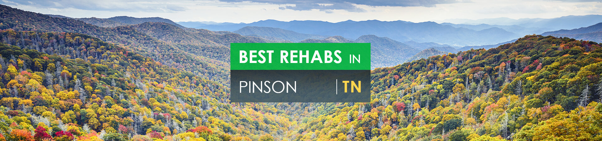 Best rehabs in Pinson, TN