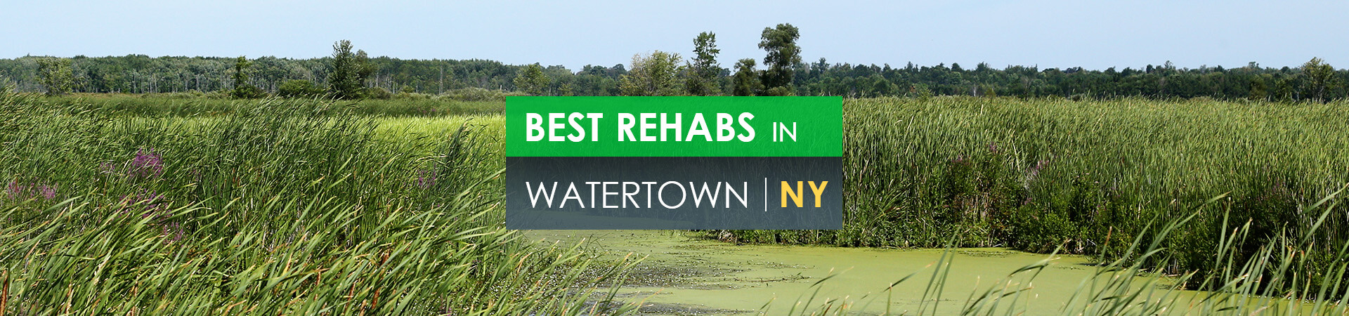 Best rehabs in Watertown, NY