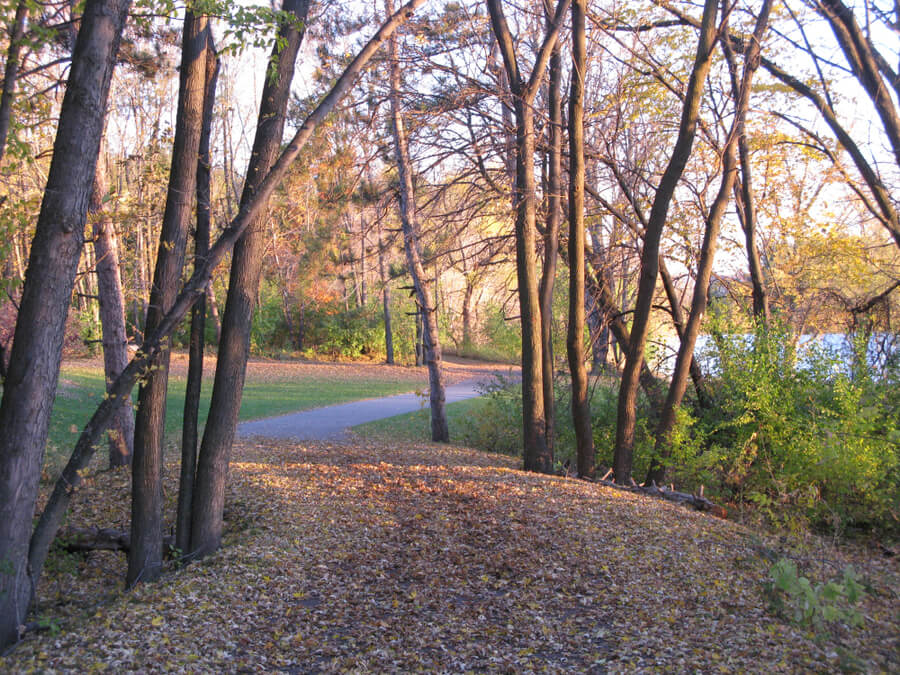 Fall in Woodbury, Minnesota