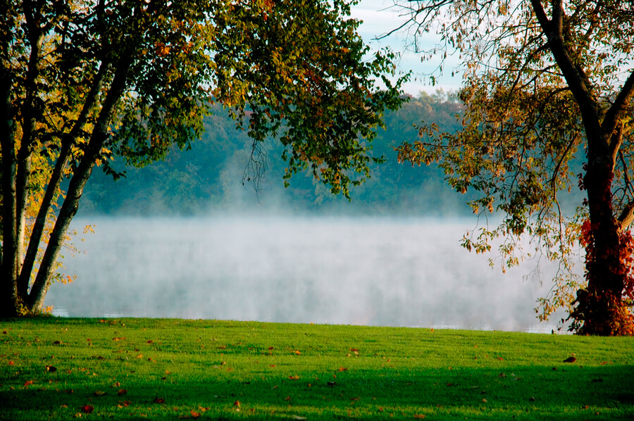 Morning mist