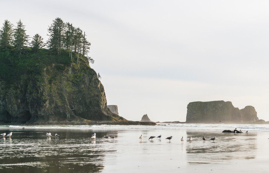 Free By The Sea Treatment Center In Ocean Park Washington