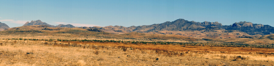South Texas
