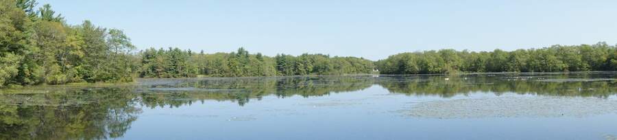 Thirty Acre Pond in DW Field Park, Brockton