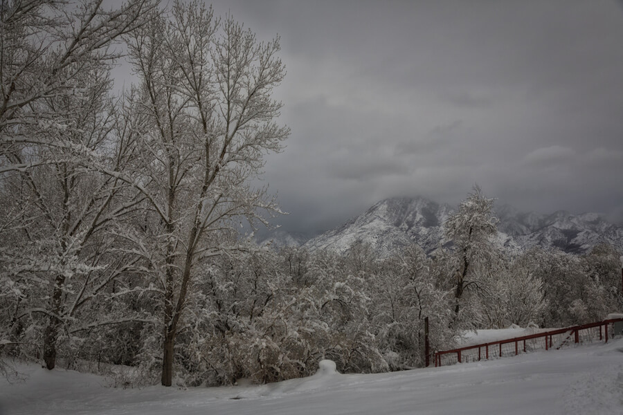 Willard Farm in Murray Utah USA