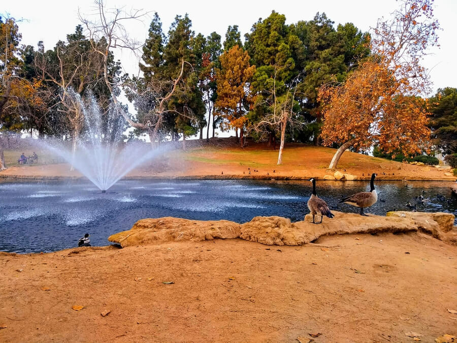 Tewinkle Park in Costa Mesa, California, USA