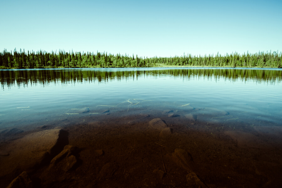 lake landscape in the north