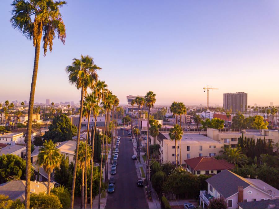 Beverly Hills street with palm trees