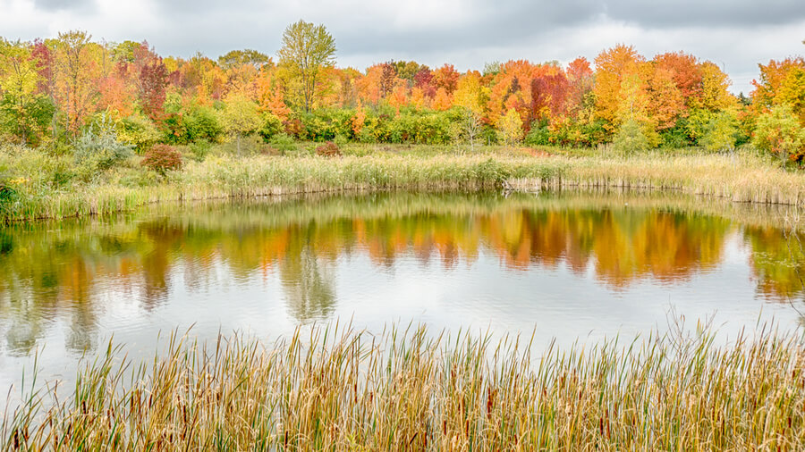 Farmington Hills, Michigan