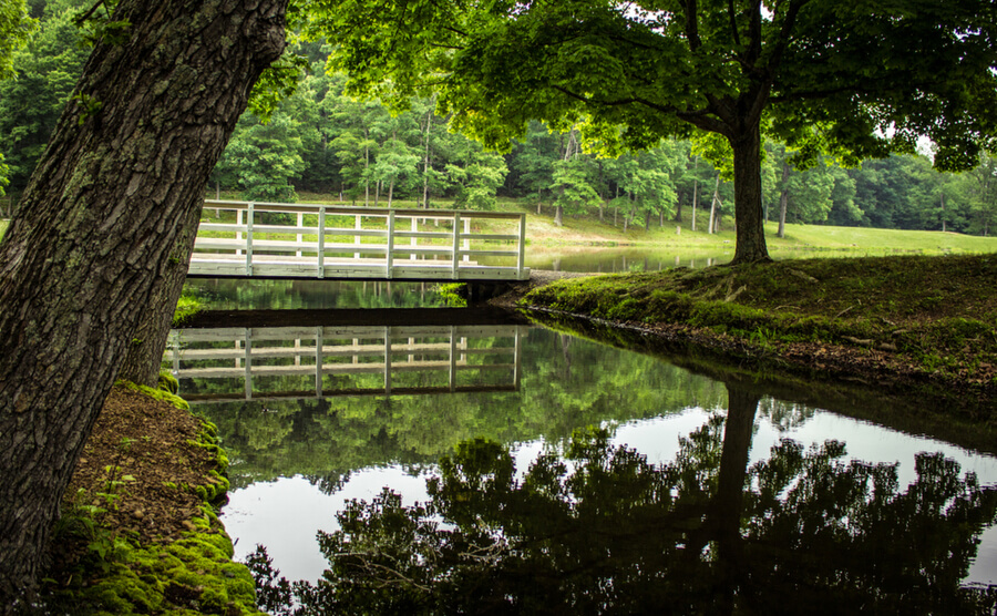 Ohio Forest Stream Landscape.