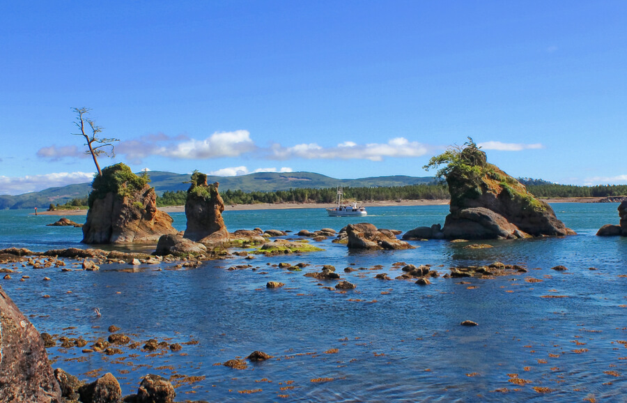 Pacific Coast in summer (Tillamook area, Oregon)