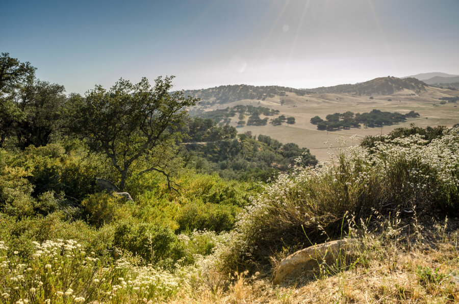 San Diego County