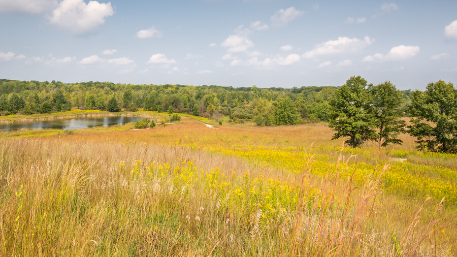 Springs Metropark, near Clarkston, Michigan