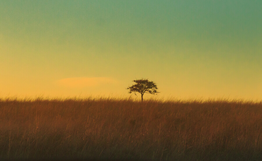 Tallgrass Prairie Preserve located in Pawhuska, Oklahoma