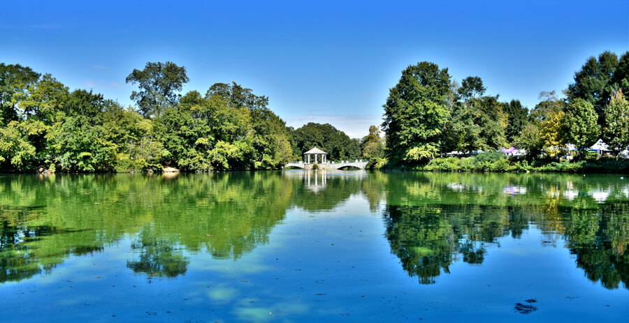 Tranquil landscape. Lake Clara